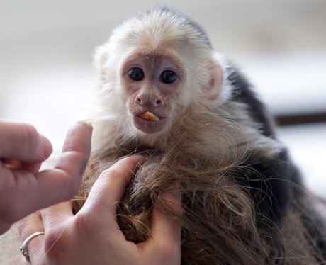 Cutest Picture Of The Week