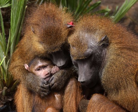 Cutest pictures of the week