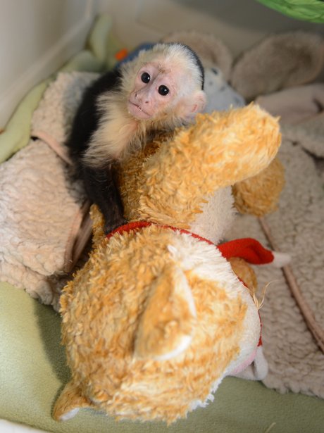 Cutest Picture Of The Week
