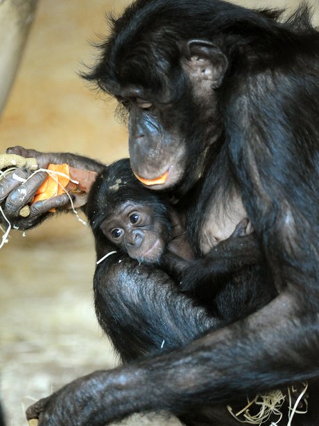 Cutest pictures of the week