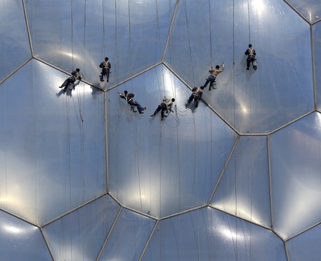 Weird And Wonderful Pictures Of The Week