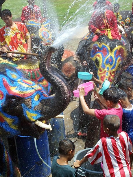 Weird And Wonderful Pictures Of The Week