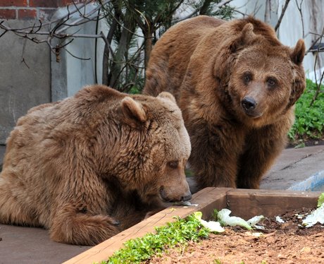 Cutest pictures of the week