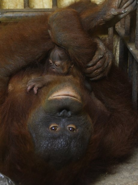 Cutest pictures of the week