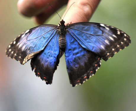 Cutest pictures of the week
