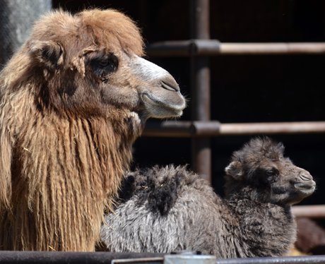 Cutest pictures of the week