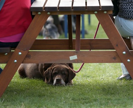 Cutest pictures of the week