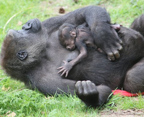 Cutest Pictures Of The Week - 1 May 2013