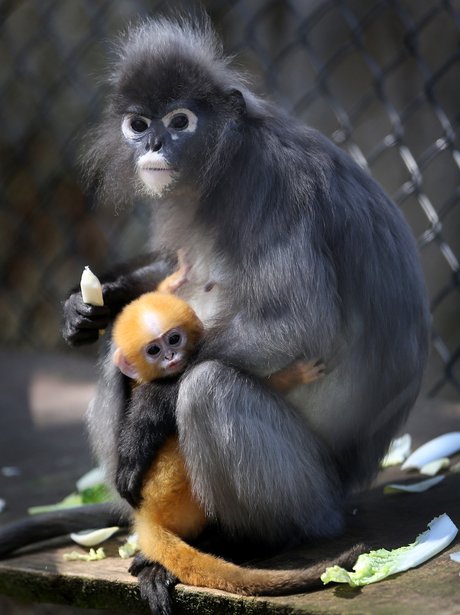 Weird And Wonderful Pictures Of The Week