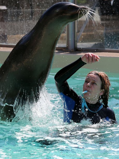 Weird And Wonderful Pictures Of The Week