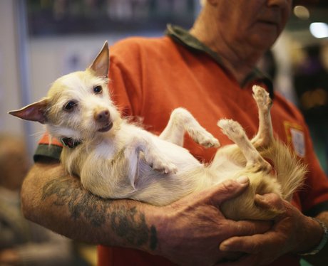 Cutest pictures of the week