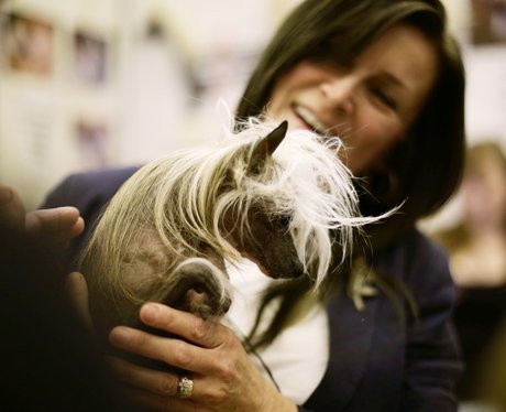 Cutest pictures of the week