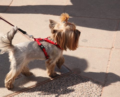 Cutest pictures of the week