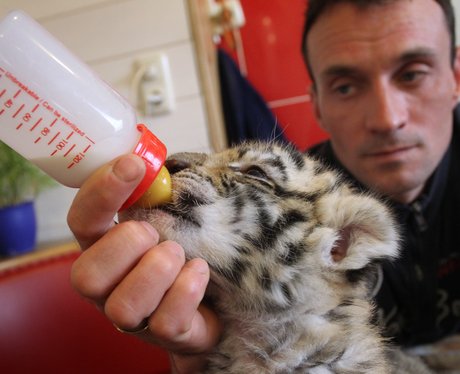 Cutest pictures of the week
