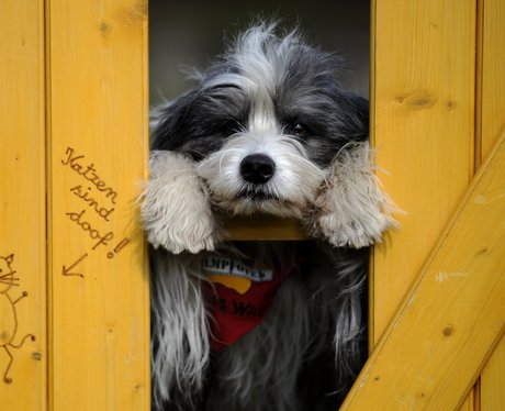 Cutest pictures of the week