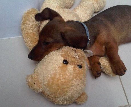 Cutest Pictures Of The Week