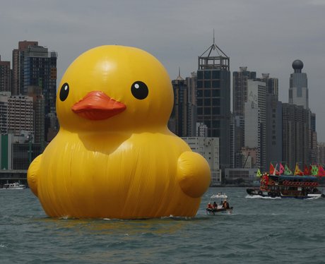Rubber duck floating in Hong Kong's habour