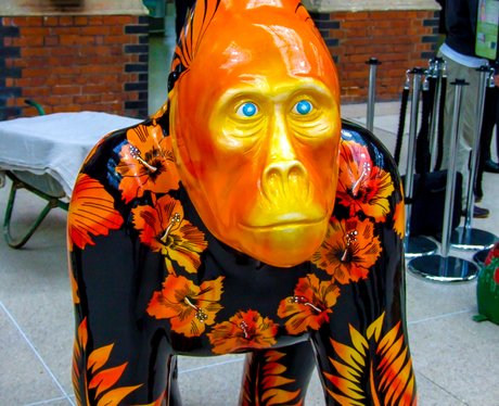 GoGoGorillas
