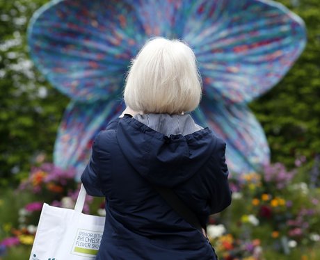 Weird And Wonderful Pictures Of The Week