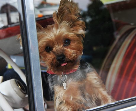Cutest pictures of the week