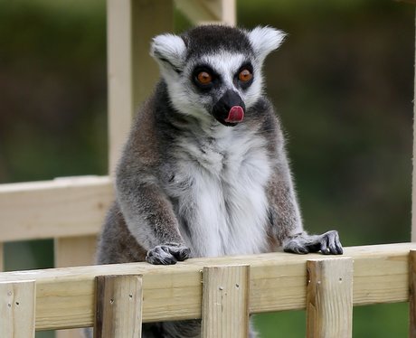 Cutest pictures of the week