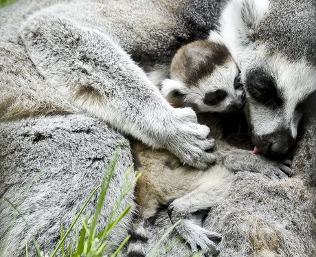 Cutest pictures of the week