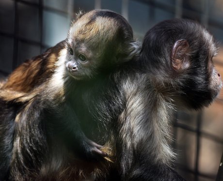 Cutest pictures of the week