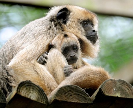 Cutest pictures of the week