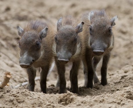 Cutest pictures of the week