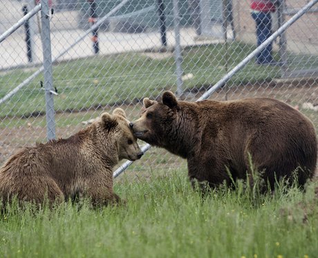 Cutest pictures of the week