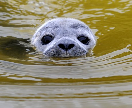 Cutest pictures of the week