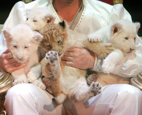 Cutest pictures of the week