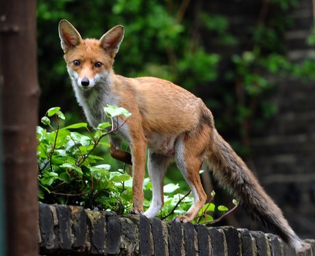Cute Pictures Of The Week