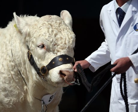 Cute Pictures Of The Week