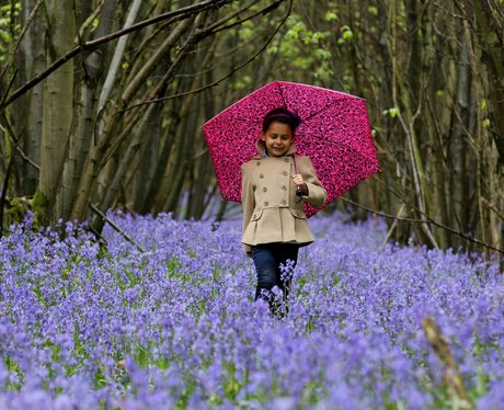 Cute Pictures Of The Week