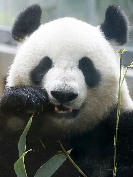 Cute Pictures Of The Week