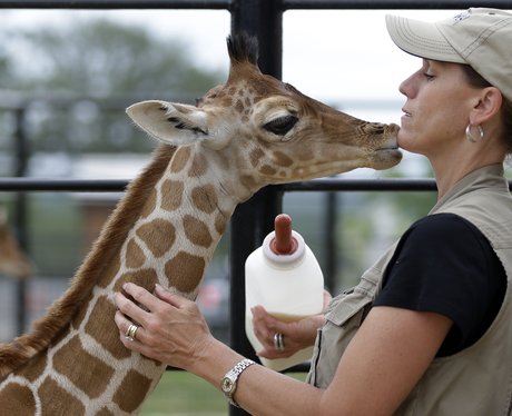 Cute Pictures Of The Week