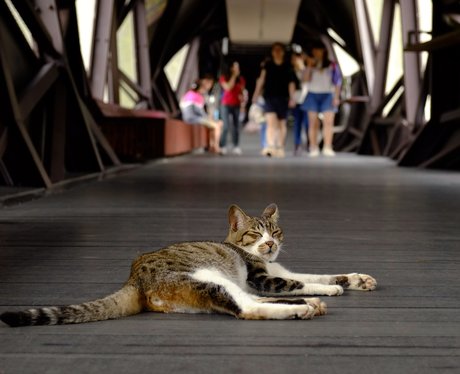 Cute Pictures Of The Week