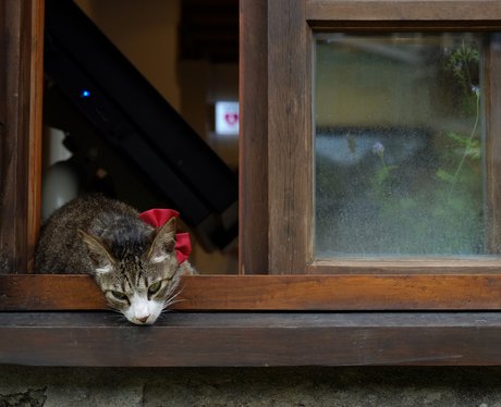 Cute Pictures Of The Week