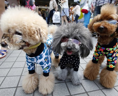 Cute Pictures Of The Week