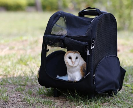 Cute Pictures Of The Week