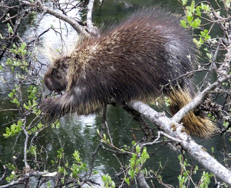Cute Pictures Of The Week