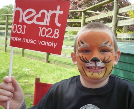 Howletts Zoo Face Painting