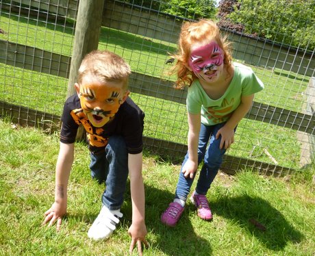 Howletts Zoo Face Painting
