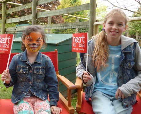 Howletts Zoo Face Painting