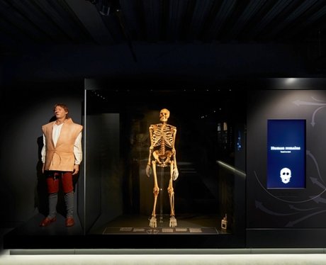 Mary Rose Museum