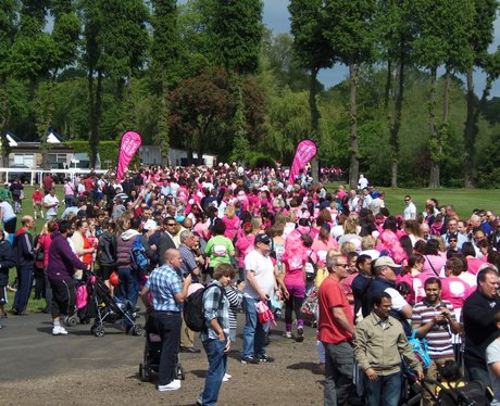 The Pink Ladies - Windsor Race for Life 1/06/2013