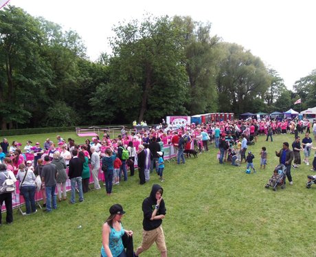 The Pink Ladies - Windsor Race for Life 1/06/2013