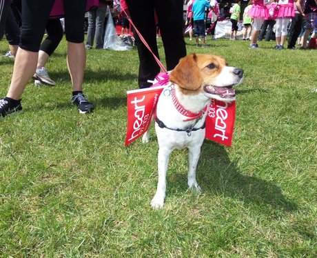 The Pink Ladies - Windsor Race for Life 1/06/2013