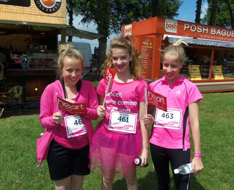 The Pink Ladies - Windsor Race for Life 1/06/2013